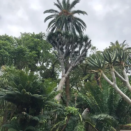 Holidays Paradise Tenerife * Costa Adeje (Tenerife)