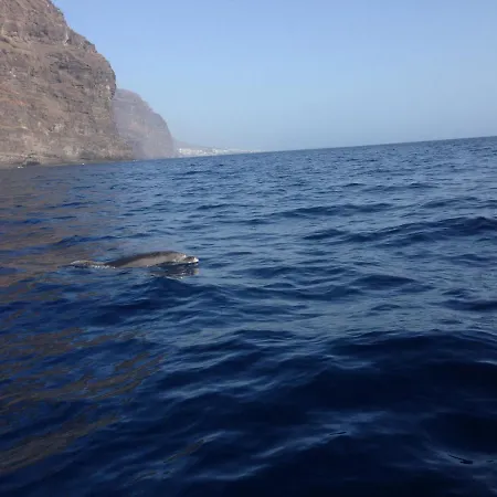 Holidays Paradise Tenerife Costa Adeje (Tenerife)
