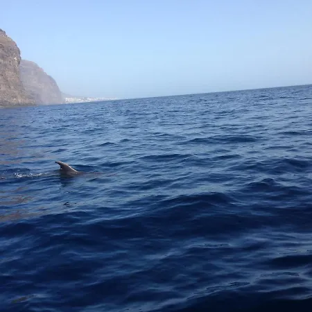Holidays Paradise Tenerife Costa Adeje (Tenerife)